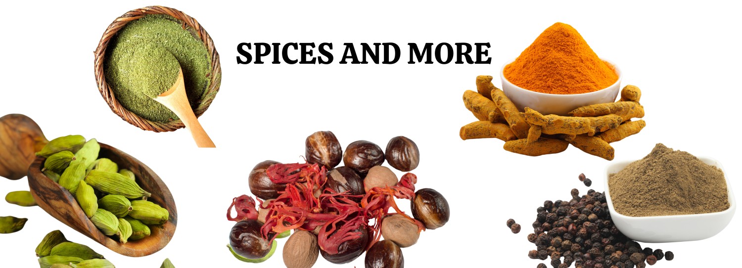Havilahspices promo